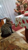 20181231_232907.jpg