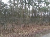 IMG_20181231_134158.jpg