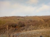IMG_20190102_103955.jpg