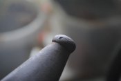 DSC_8559.JPG