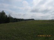 IMG_6832.jpg
