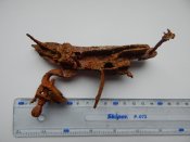 DSCN2525.JPG