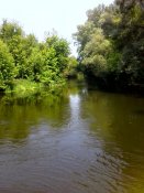 IMG_20160731_142713.jpg