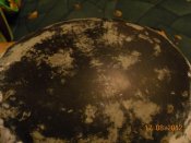 DSCN5263.jpg
