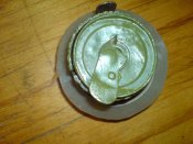 DSC04137.jpg