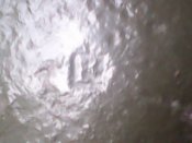 IMG10126.jpg