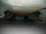 IMG_3528.jpg