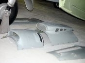 hen_mosq-11.jpg