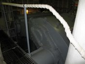 IMG_5410.jpg