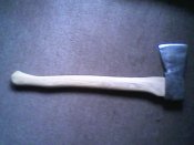 IMG1520A.jpg