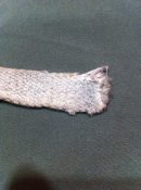 IMG_8950.JPG