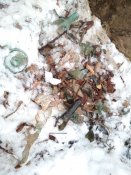 IMG_20190112_152738.jpg