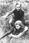 gun_006.jpg