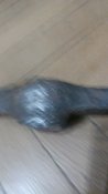 IMG_20190112_175445.jpg