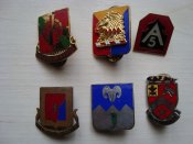 DSC05101.JPG