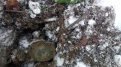 IMG_20190113_104710.jpg