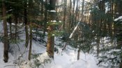 IMG_20190113_112858.jpg