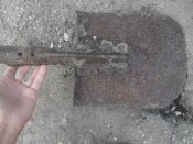 SDC15824.jpg