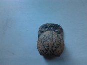 2012-08-02 08.00.59.jpg