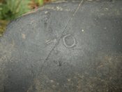 DSC00436.jpg