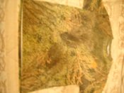 DSCN5251.JPG