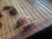 E2C14B6F-C06B-40B6-91B0-6BE98D2362E0.jpeg