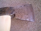 IMG1543A.jpg