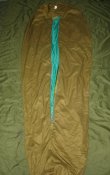 DSC05601.jpg