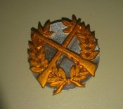 IMAG7967.jpg