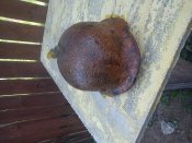 DSC00213.jpg