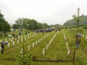 DSCN0769.jpg