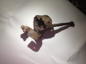 Кольца на ложе м88