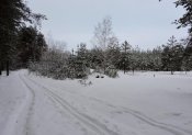 DSCN6549.JPG