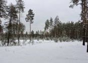 DSCN6554.JPG
