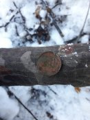 20190119_150219.jpg