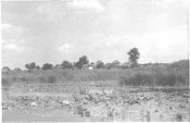 53 Landschaft hinter der Pumpstation, Poltawa 1943.jpg