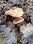 20181109_111437.jpg