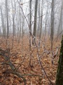 20181109_105738(0).jpg