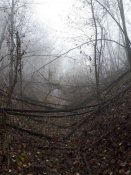 20181109_115143.jpg