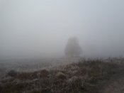 20181108_092801.jpg