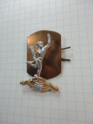 Знак кокарда Certa Cito Англия (Лот№20)