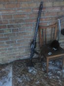 IMG_20190123_113337[1].jpg