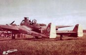 fw_189_5H_RK_NAGr_16_Austria.jpg