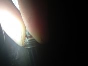 IMG_20190124_154714.jpg