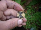 DSCN2408.jpg