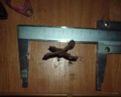 DSC00420_1.jpg