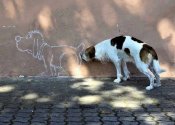 242455-perfectly-timed-photos-2-650-610356611c-1484640730.jpg