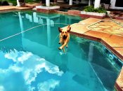 243305-perfectly-timed-photos-77-650-8c54640524-1484640730.jpg