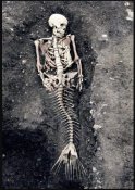 в египте.jpg