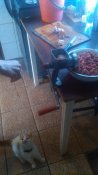 IMG_20190127_103751.jpg
